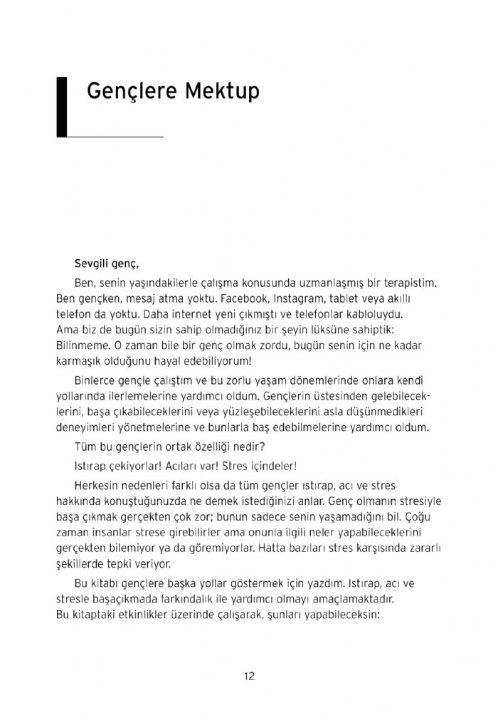Görsel 2