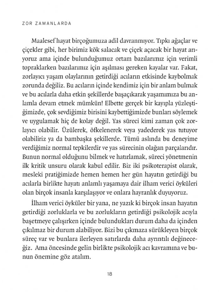 Görsel 3